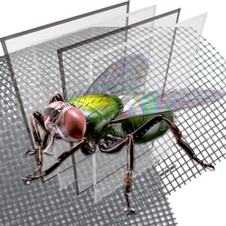 Москитные сетки от насекомых